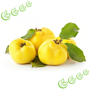 Parfümöl Quince Harvest 20 ml